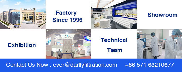 Darlly Hydrophobic PTFE Double Layer Membrane Filter Cartridge for Pharmaceutical Industry