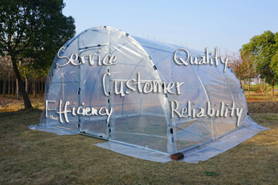 Multi Use Polytunnel Greenhouse Supplies 20' X 10' X 7' Aquaponic Poultry Farm Equipments Hobby Growing Tent Hoop House