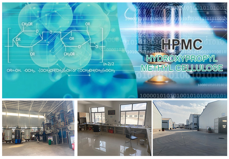 HPMC for Construction Mortar Powder Cellulose