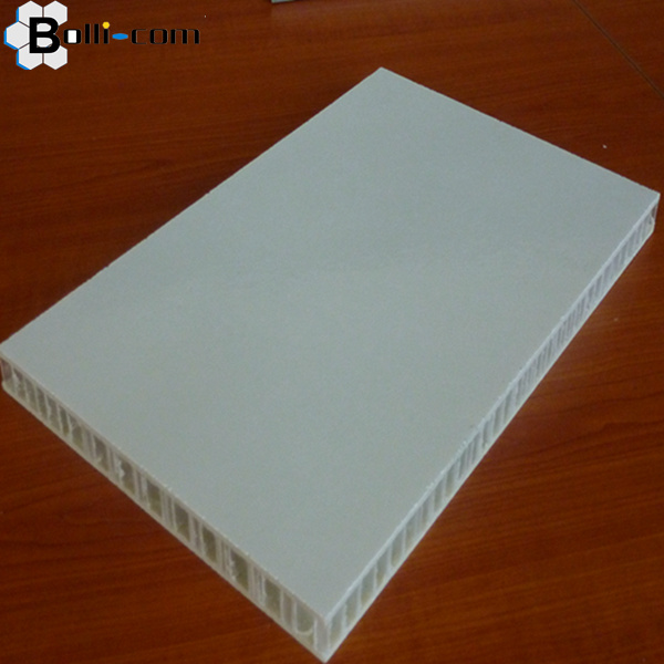 12mm PP Honeycomb Fiberglass PP Honeycomb Panel