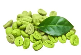 Green Coffee Bean Extract  Chlorogenic Acid 327-97-9 10% 20% 50% Pure Natural Extract