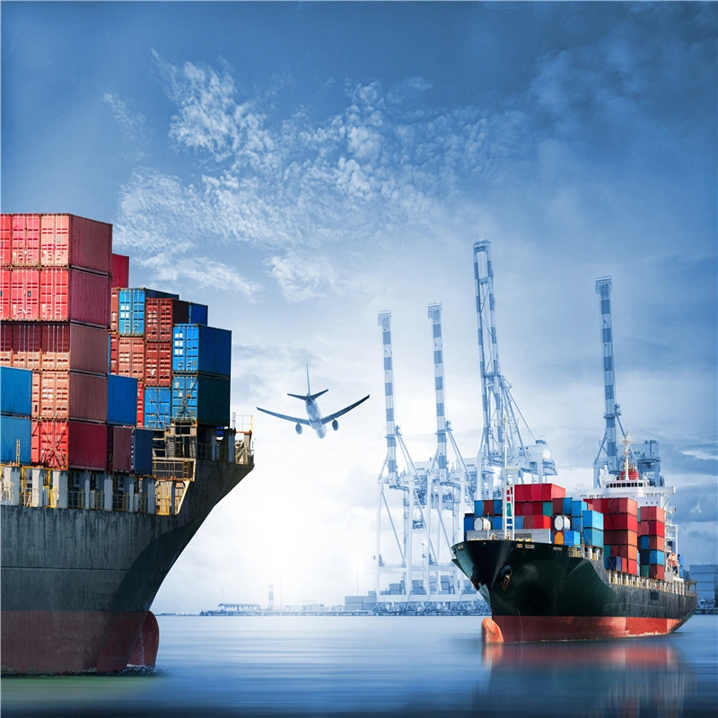 Sea Shipping to European Sea Freight to UK Shenzhen Best Service Logistics