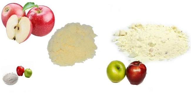 Apple Extract Powder Food and Beverage Fruit Extract Polyphenol 10% Malus Domestica