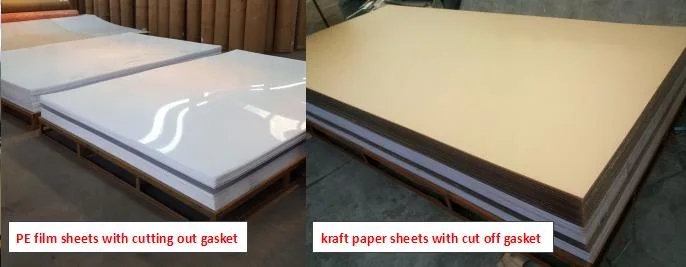 Both Sides Frosted Acrylic PMMA Sheet Freezen Matte Acrylic Sheet