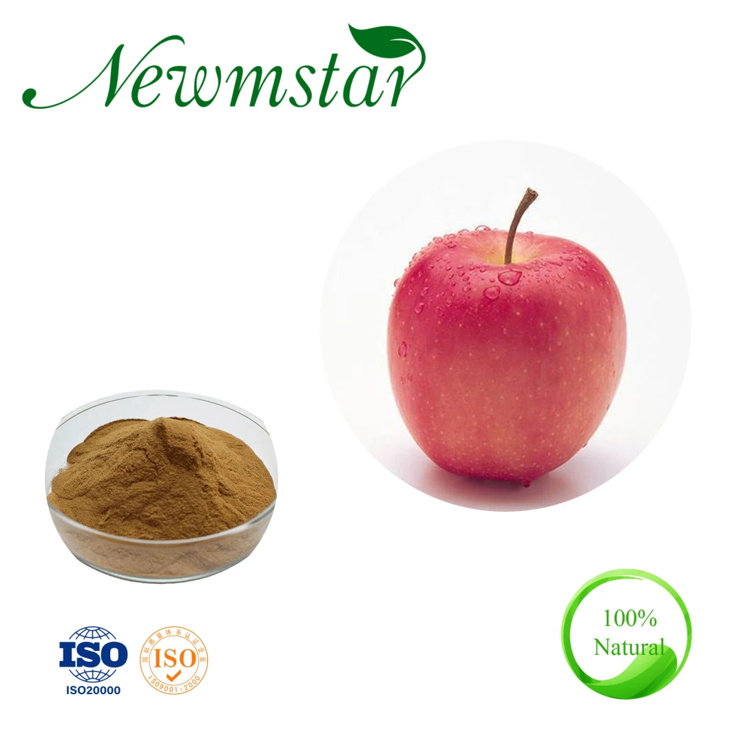 Apple Extract Powder Food and Beverage Fruit Extract Polyphenol 10% Malus Domestica