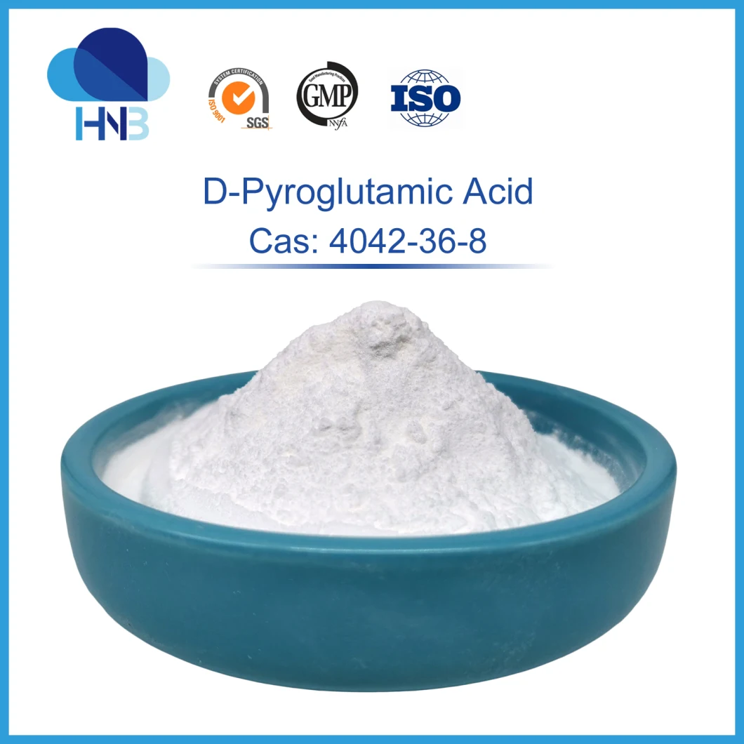 High Purity 99% Amino Acid CAS 4042-36-8 D-Pyroglutamic Acid