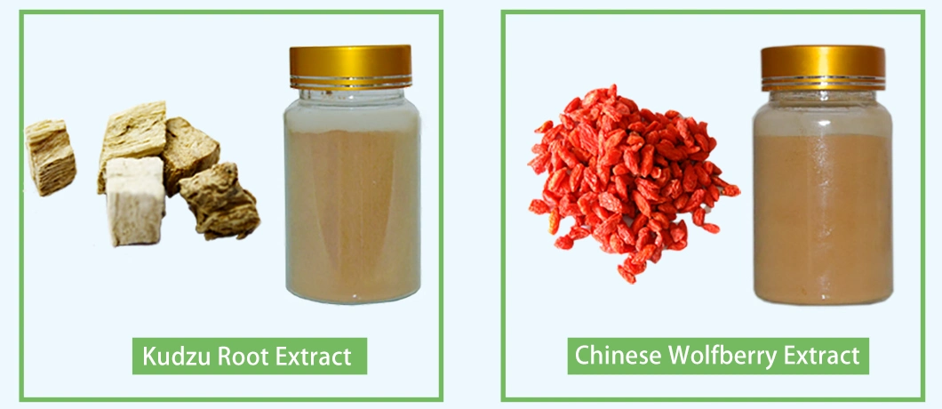 Rhus Chinensis Extract 40% Ellagic Acid Extracted From Gallnut