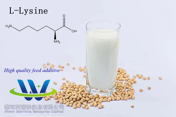 Amino Acids L-Lysine HCl 98.5% Feed Additives Animal Nutrition