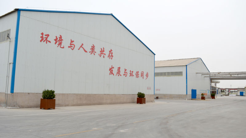 Rdp Dispersible Polymer Powder, Qingquan Brand