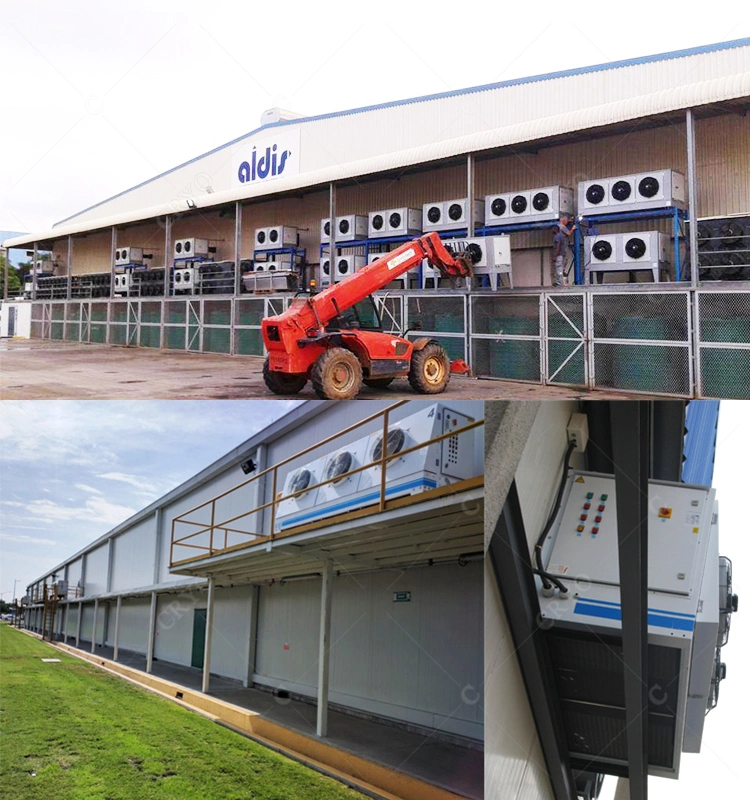 Frozen Hilsa Fish Frozen Blue Swiming Crab Chiller Room For Sale Cold