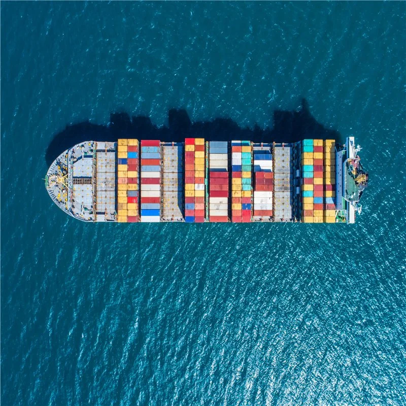 Sea Shipping to European Sea Freight to UK Shenzhen Best Service Logistics