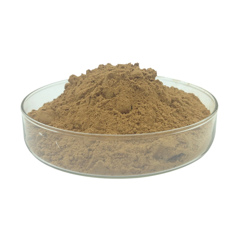 China Natural 40%-90% Pomegranate Peel Extract Powder Ellagic Acid Powder