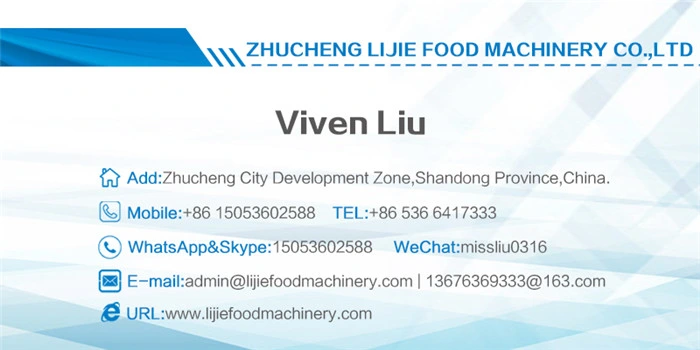 Electric Heating Frying Machine/Fryer/Frying System