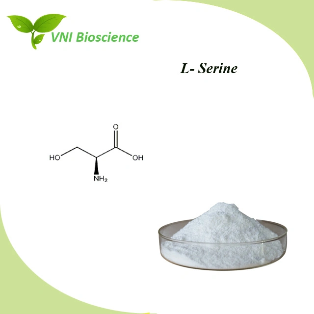 ISO Certified L-Serine/Ser/3-Hydroxy-Alanine/L-Ser/Serine CAS No. 56-45-1