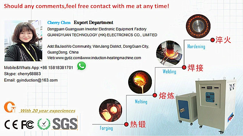 China Hot Sale Billet Heating Induction Heating Machine Gym-100ab