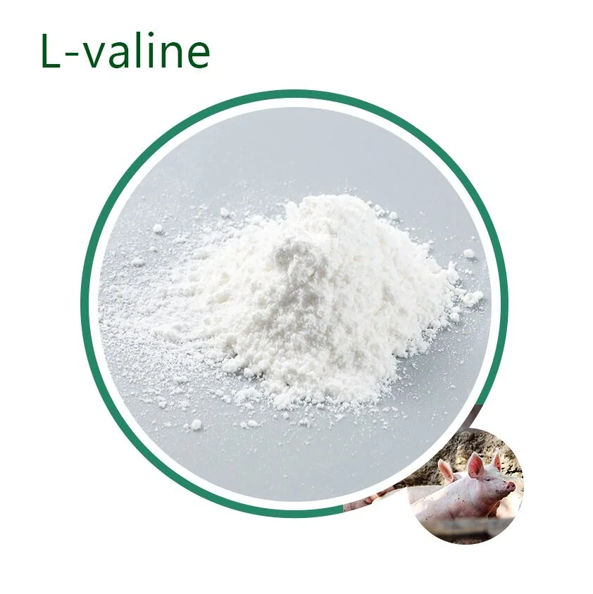 Hot Sales Vitamin B9 95% Folic Acid Feed Grade Crystalline Powder Feed Additive for Poultry