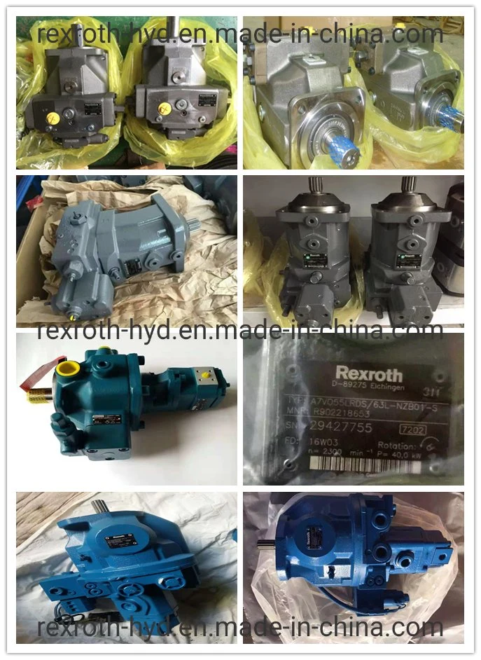 Rexroth Hydraulic Pump/Piston Pump/Grease Pump/Pressure Pump/Oil Pump/Vane Pump/ Gear Pump/Excavator Pump for A2fo/A2FM/A4V/A6vm/A7V/A10V/A11V