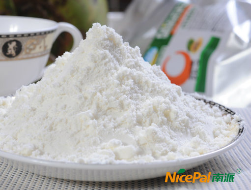 Natural Spray Dried Coconut Powder / Coconut Milk Powder / Coconut Juice Powder