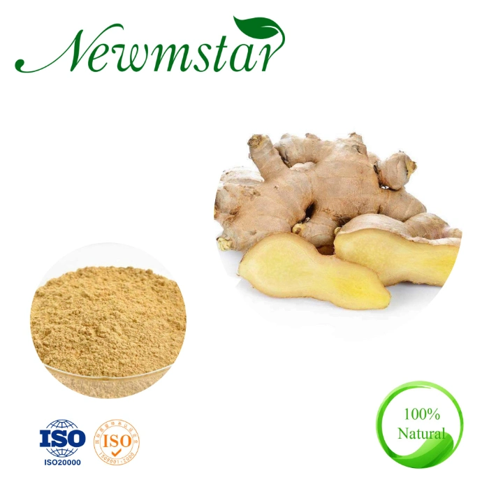 Cheapest Herbal Extract Ginger Extract Gingerol  Extract ISO Certificated