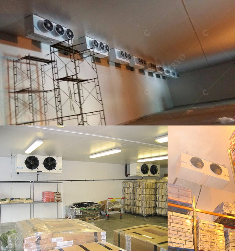 Frozen Hilsa Fish Frozen Blue Swiming Crab Chiller Room For Sale Cold