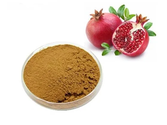 Pomegranate Peel Extract Ellagic Acid 40% Punica Granatum L