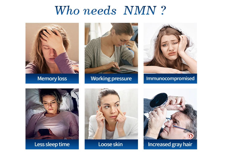 Cheap Beta Nmn Supplements Manufacturer Products Nicotinamide Mononucleotide Nmn Beta-Nicotinamide