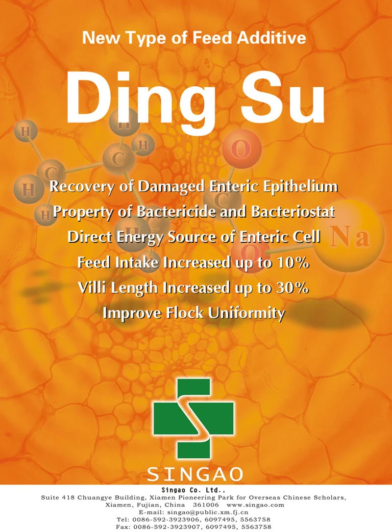 Feed Additive Growth Promoter Alternative Sodium Butyrate 98% Granule for Poultry and Swine
