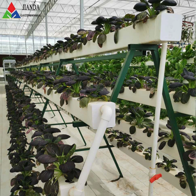 China Cheapest Growing Tent Green House for Dutch Bucket