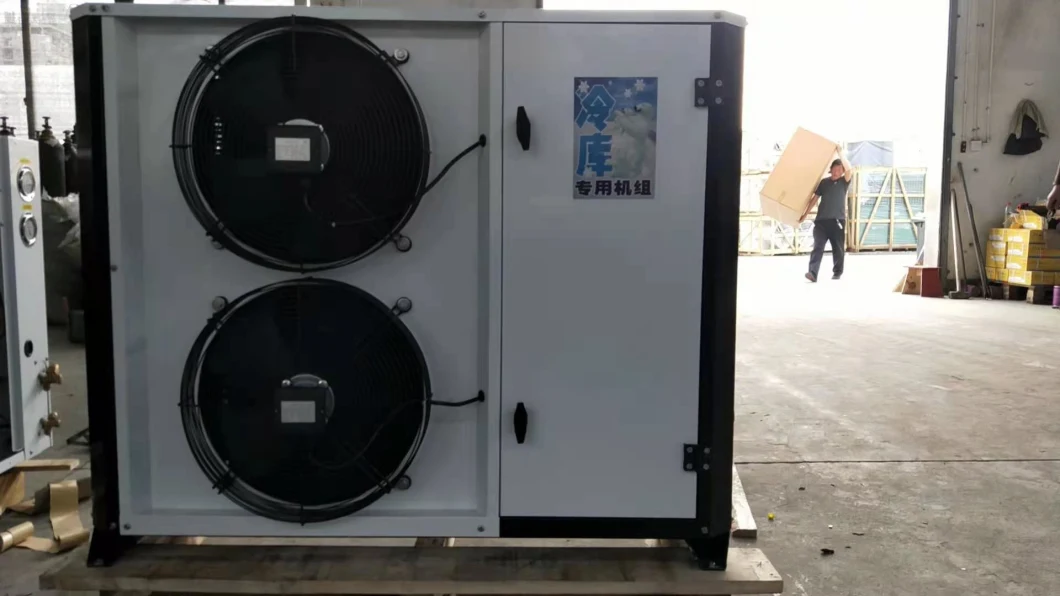 China Low Price Factory Price Low Temperature Air Condensing Unit for Freezer