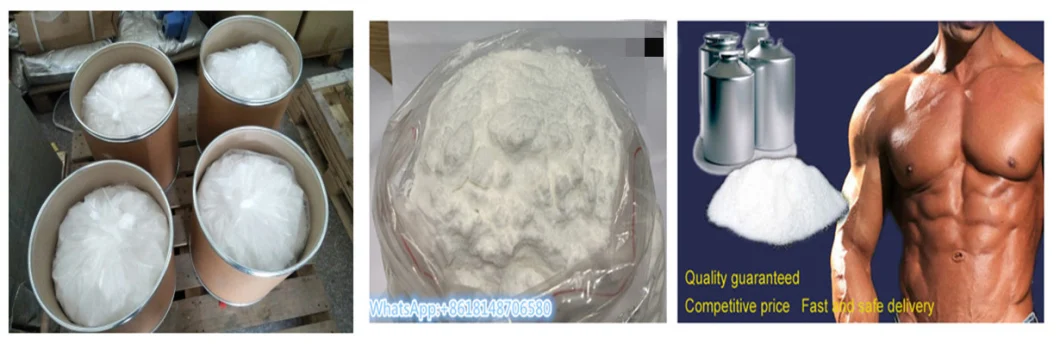Hot Sell 99.9% Purity Glycyl-L-Glutamine Powder