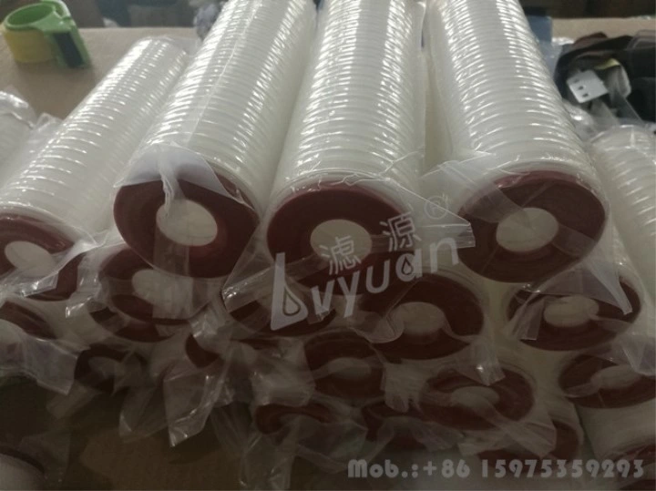 5 10 Inch PP/Pes/PTFE Membrane Pleated Cartridge Filter with PTFE Orings