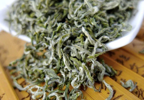 Hunan Province High Premium Chinese Green Tea Guzhang Maojian Green Tea Brand