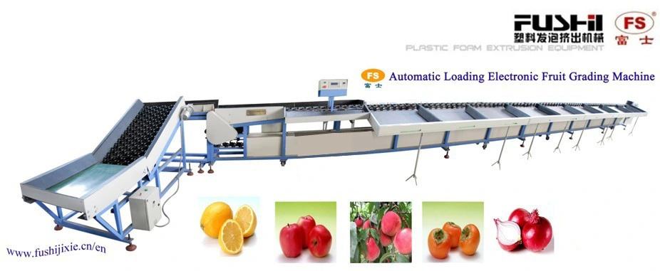 Fruit and Vegetable Sorting Grading Machine for Apple/Potato/Onion/Orange/Pomegranate