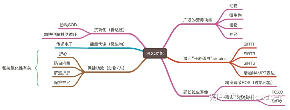 Factory Supply Medical Grade PQQ for Antioxidant Supplements Anti-Aging Dietary Supplements Sleeping Helper CAS 122628-50-6