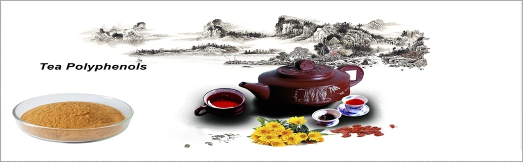 Pure Natural Green Tea Extract Camellia Sinensis Tea Polyphenols CAS No. 84650-60-2 50%~98% Best Price
