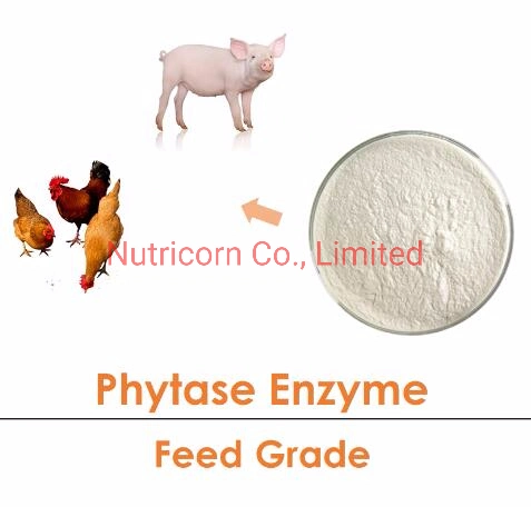 Amino Acids L-Lysine HCl 98.5% Feed Additives for EU