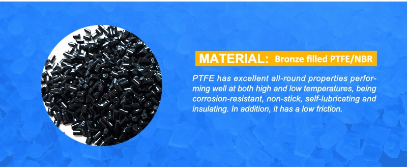 High Performance Hydraulic PTFE Bronze Dust Wiper Seals