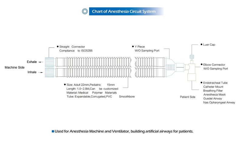 Hospital Use Adult Single Use Anesthesia Breathing Circuit