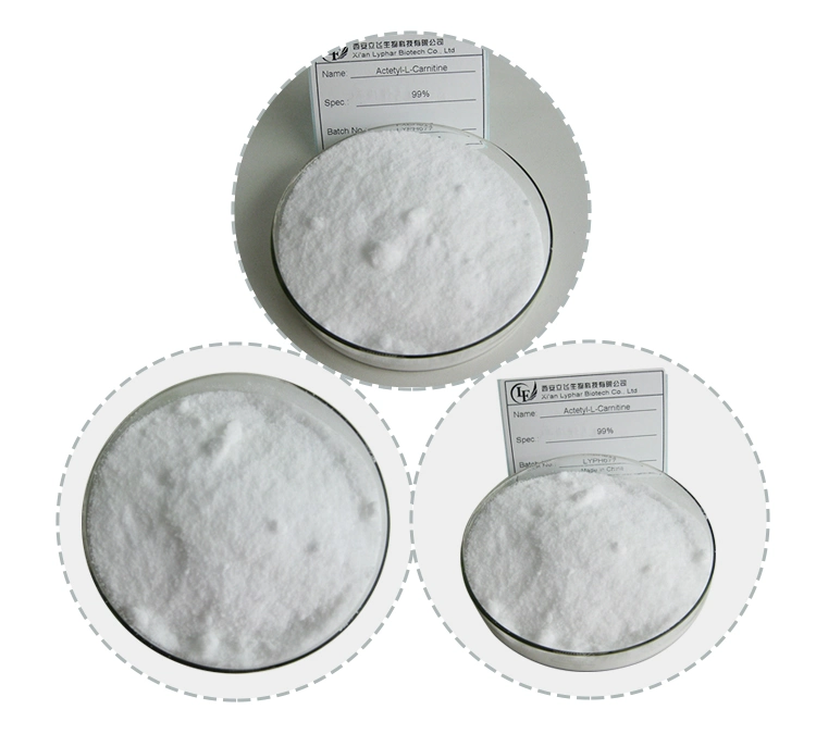 Supply Effective Nutritional Supplement Acetyl L Carnitine Powder