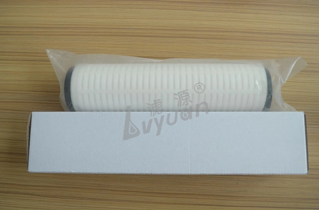 Absoluted Microns Rating 10/20 Inch PTFE Membrane Filter Cartridge with 222 226 Stainless Steel O Ring End Cap