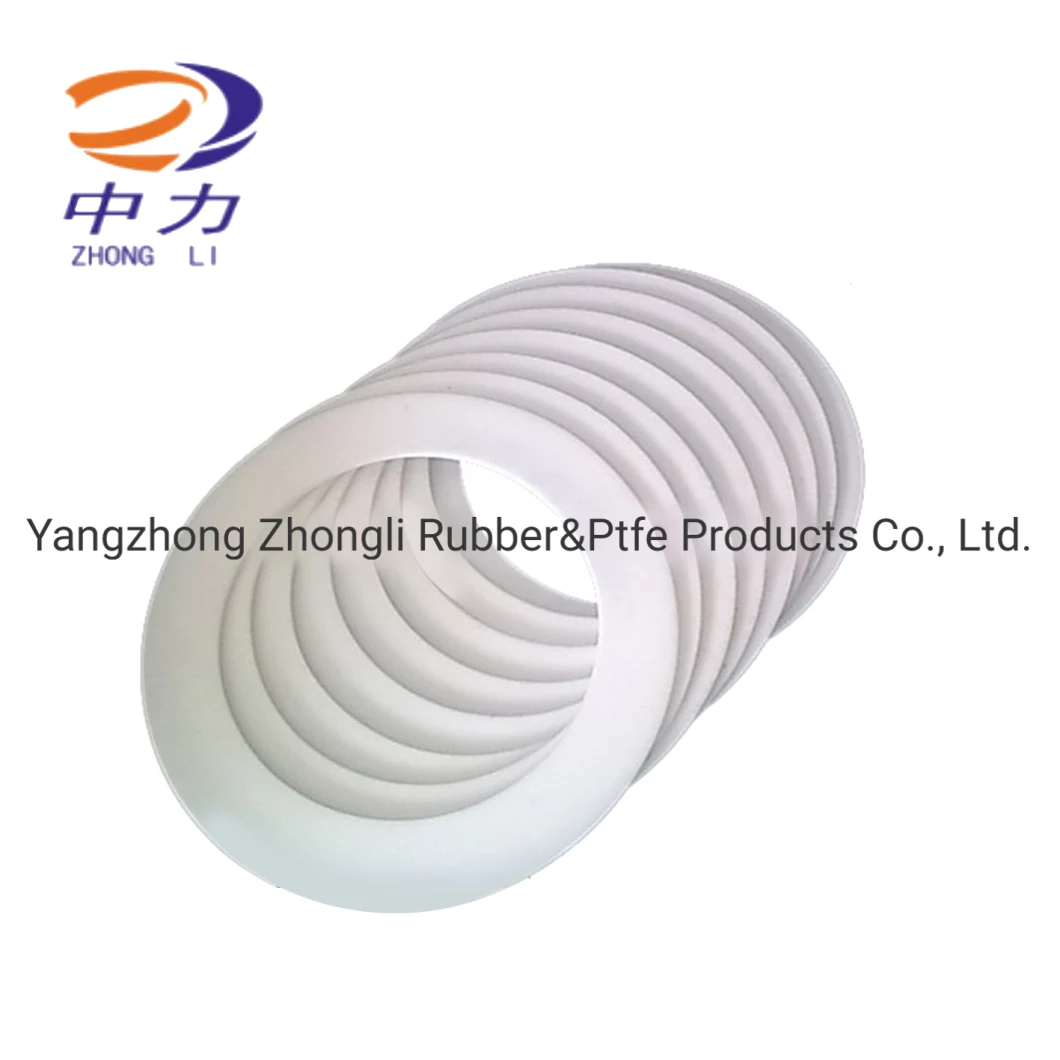 PTFE Teflon Gasket, Washer and Ring, Sealing Product