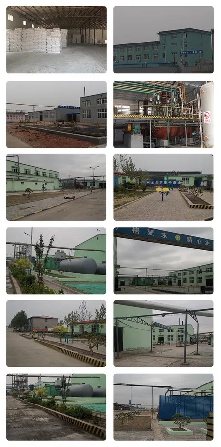 China Factory Supply Hypromellose /HPMC for External Wall Insulation System