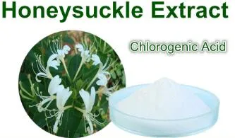 Water Soluble Chlorogenic Acid Food and Pharmaceutical Grade, Chlorogenic Acid Price Honeysuckle Flower Extract