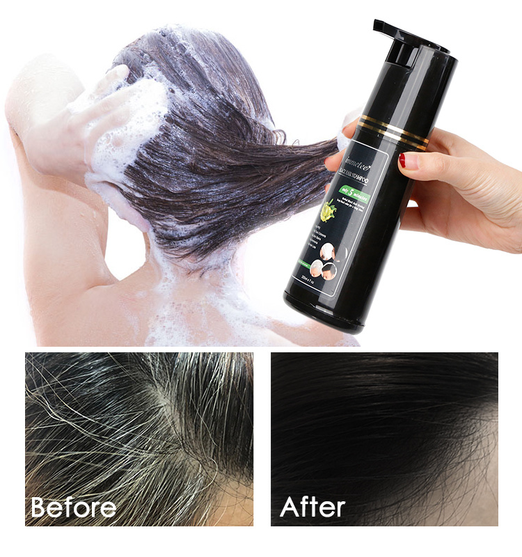 Healthy Black Hair Shampoo Black Hair Dye Shampoo OEM/ODM