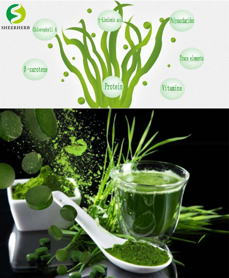 Factory Hot Selling Wholesale Bulk Nutritional Supplements, Health Foods, Spirulina and Chlorella (nutritional supplements) Spirulina