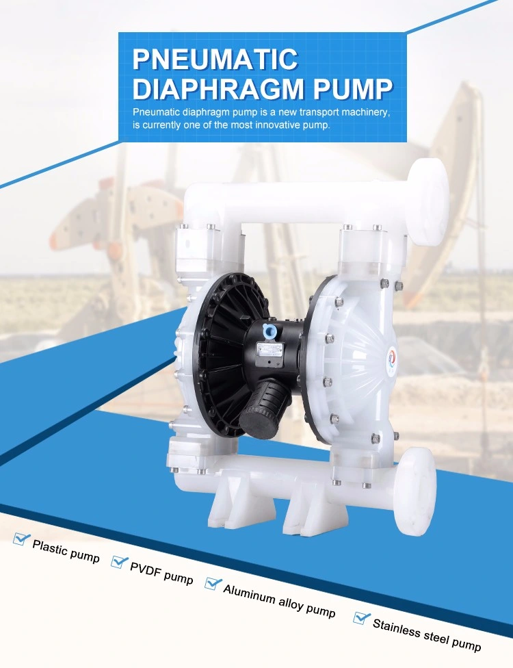 Hy40 Micro Low Pressure Raasm Grease Air Diaphragm Pump