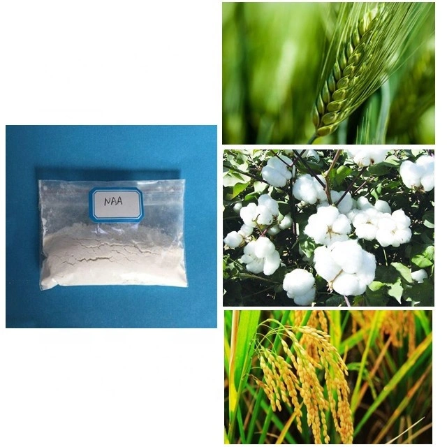 Agricultural Chemical Plant Growth Promoter 1-Naphthalene Acetic Acid Naa