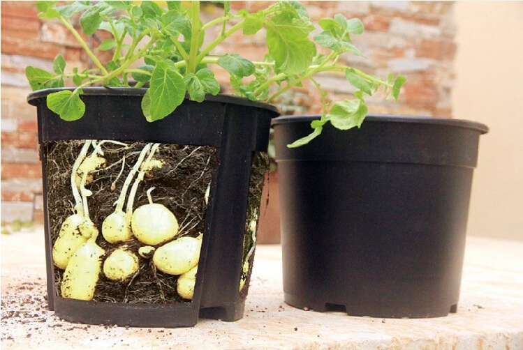 Breathable Plant Barrel Felt Large Capacity Vegetable Growing Bag Potato Growing Bag Potato Bucket