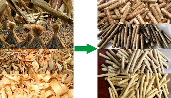 1000kg Biomass Wood Fuel Pellet Manufacturing Machines Line