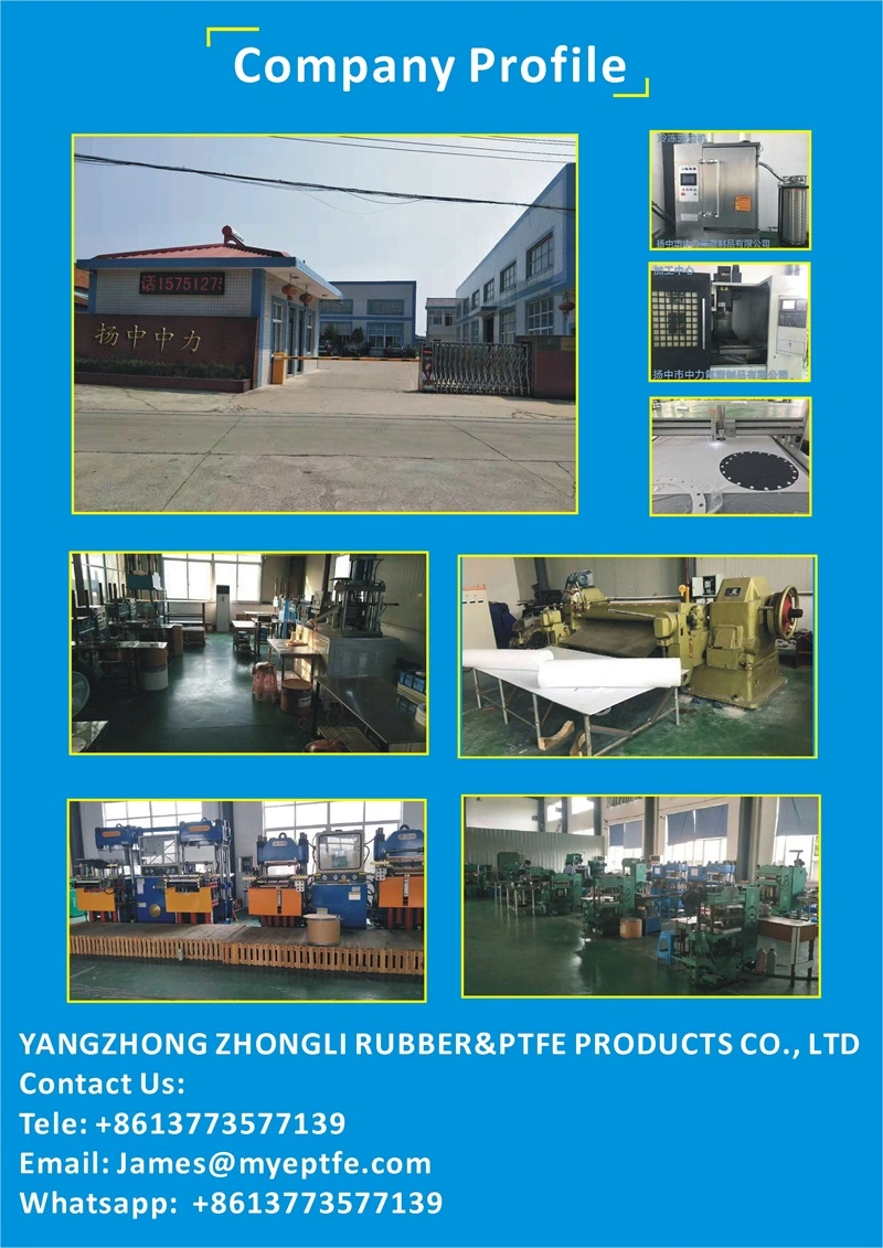 Manufactory Supply PTFE Sealing Gasket, Teflon Sealing Parts